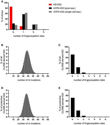 N-Glycosylation Site Analysis of Citrullinated Antigen-Specific B-Cell Receptors Indicates Alternative Selection Pathways During Autoreactive B-Cell Development